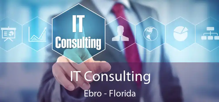 IT Consulting Ebro - Florida
