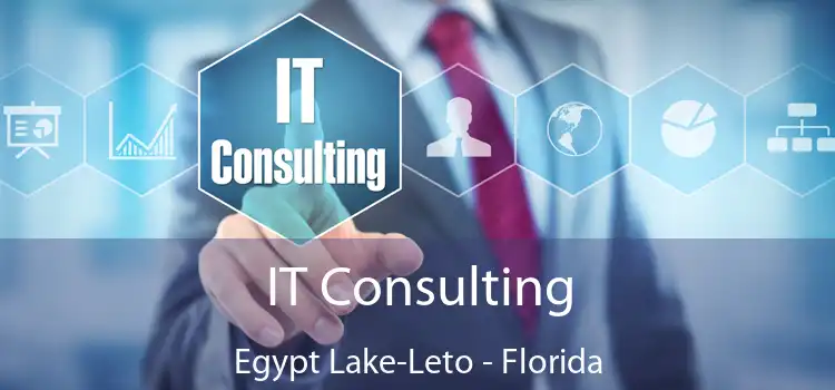 IT Consulting Egypt Lake-Leto - Florida
