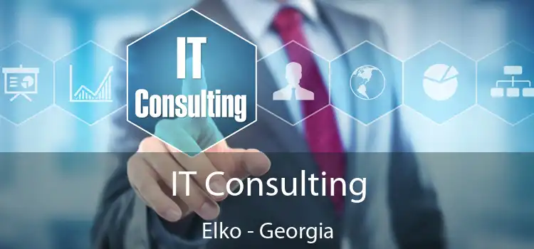 IT Consulting Elko - Georgia