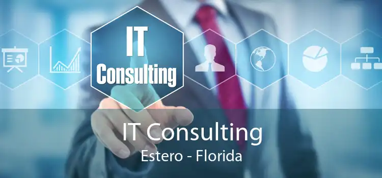 IT Consulting Estero - Florida