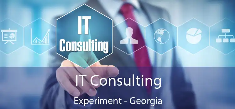 IT Consulting Experiment - Georgia