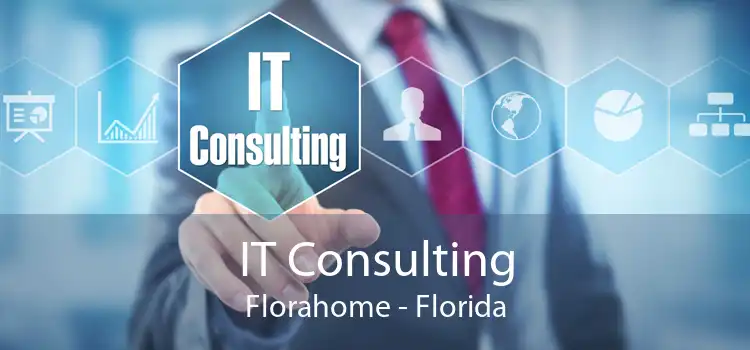 IT Consulting Florahome - Florida