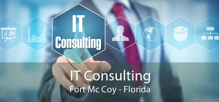 IT Consulting Fort Mc Coy - Florida