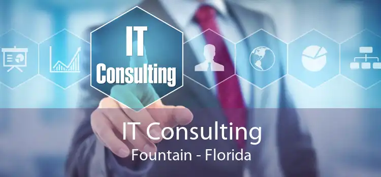 IT Consulting Fountain - Florida