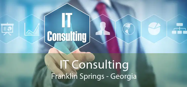 IT Consulting Franklin Springs - Georgia