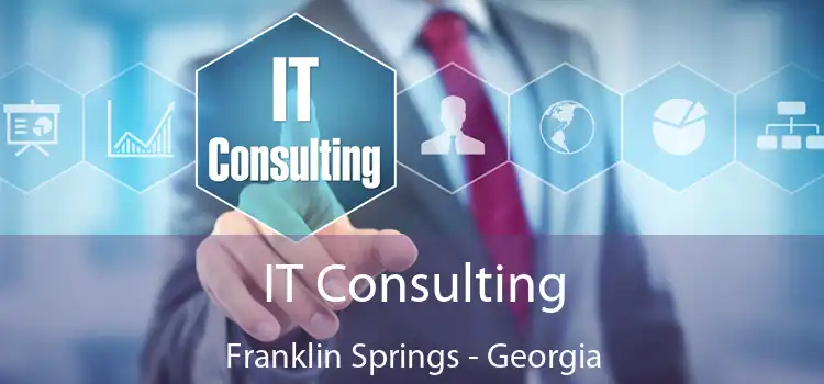 IT Consulting Franklin Springs - Georgia