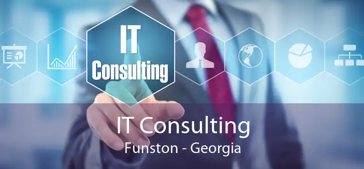 IT Consulting Funston - Georgia