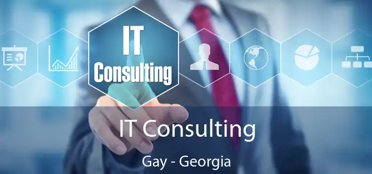 IT Consulting Gay - Georgia