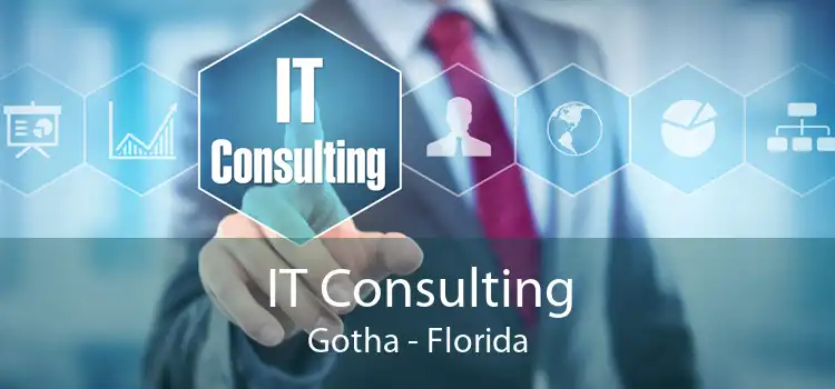 IT Consulting Gotha - Florida
