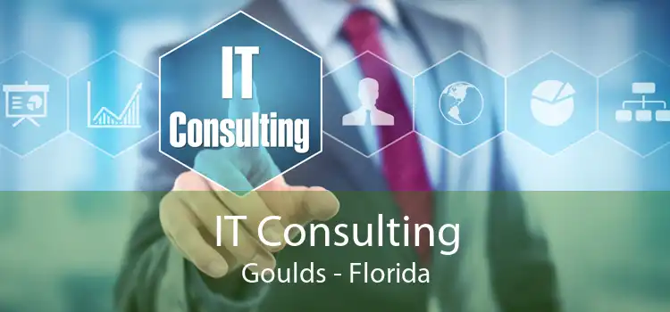 IT Consulting Goulds - Florida