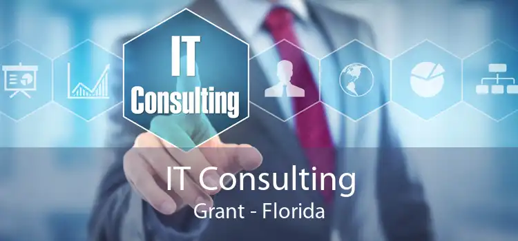 IT Consulting Grant - Florida