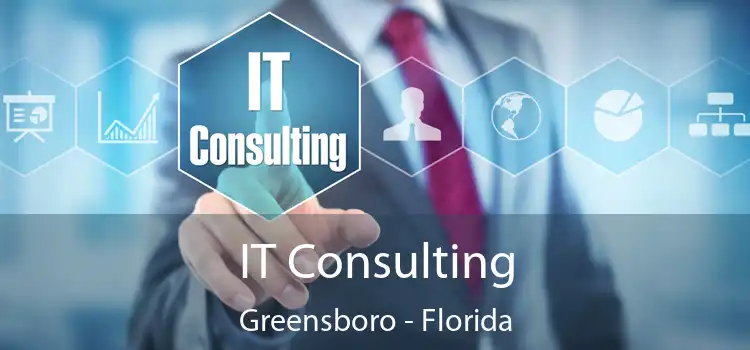 IT Consulting Greensboro - Florida
