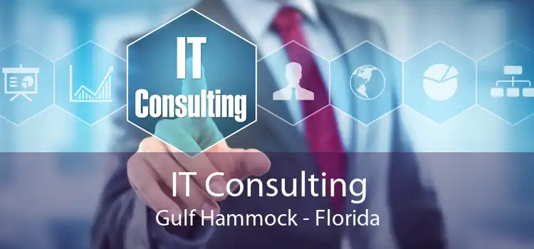 IT Consulting Gulf Hammock - Florida