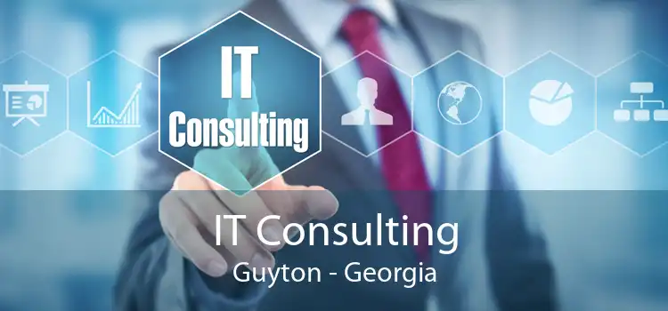 IT Consulting Guyton - Georgia