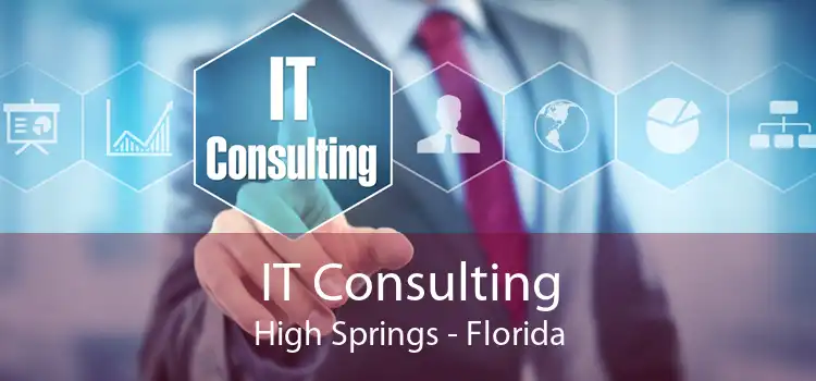 IT Consulting High Springs - Florida