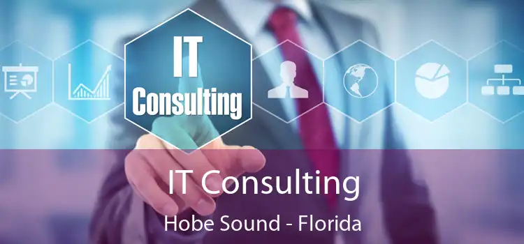 IT Consulting Hobe Sound - Florida