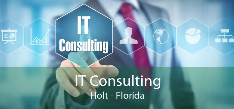 IT Consulting Holt - Florida