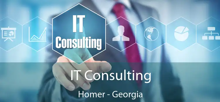 IT Consulting Homer - Georgia