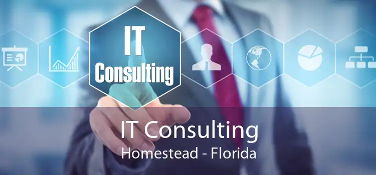 IT Consulting Homestead - Florida