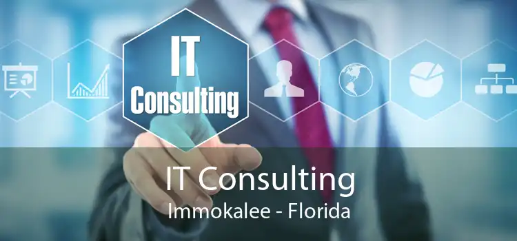 IT Consulting Immokalee - Florida