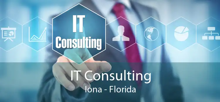 IT Consulting Iona - Florida