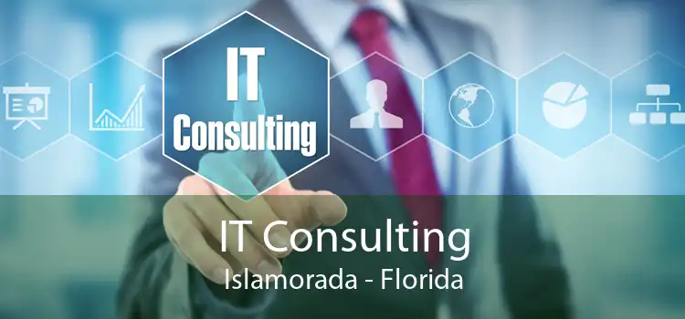 IT Consulting Islamorada - Florida