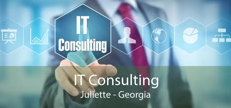 IT Consulting Juliette - Georgia
