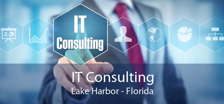 IT Consulting Lake Harbor - Florida