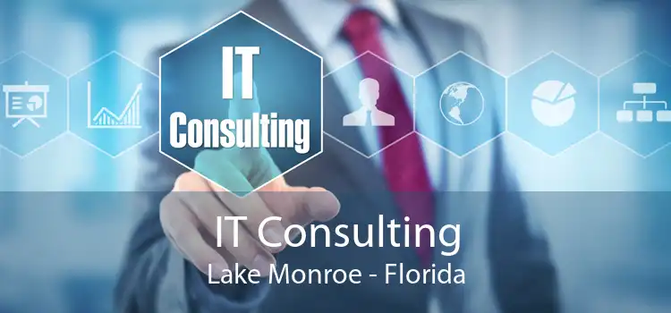 IT Consulting Lake Monroe - Florida