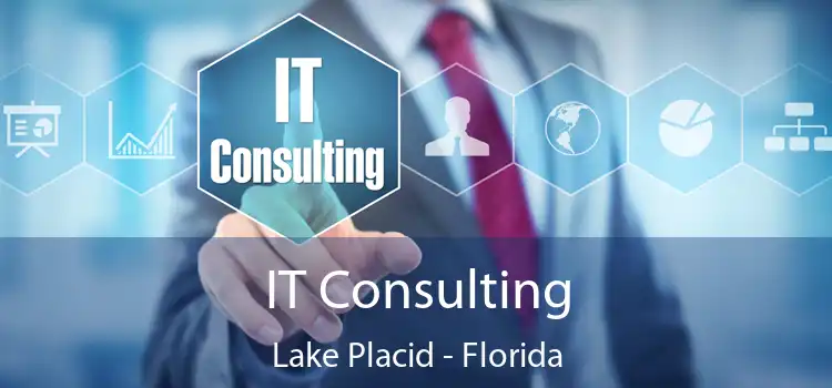 IT Consulting Lake Placid - Florida