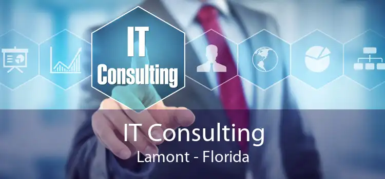IT Consulting Lamont - Florida