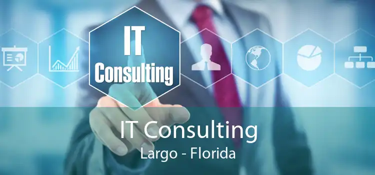 IT Consulting Largo - Florida