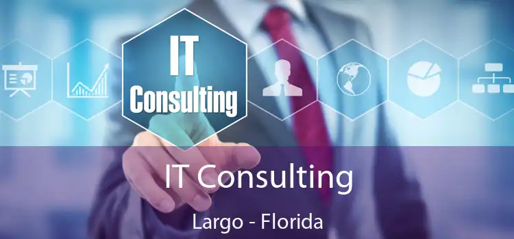 IT Consulting Largo - Florida