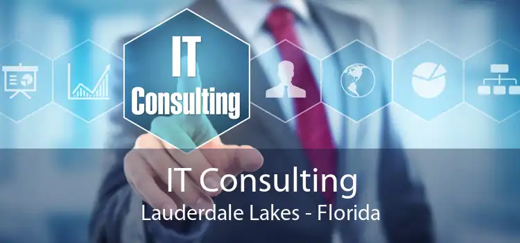 IT Consulting Lauderdale Lakes - Florida
