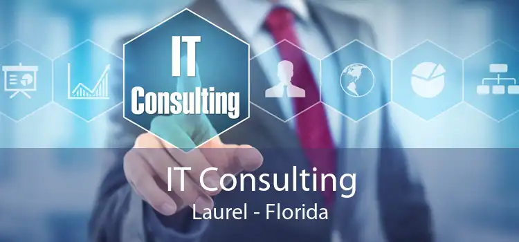 IT Consulting Laurel - Florida