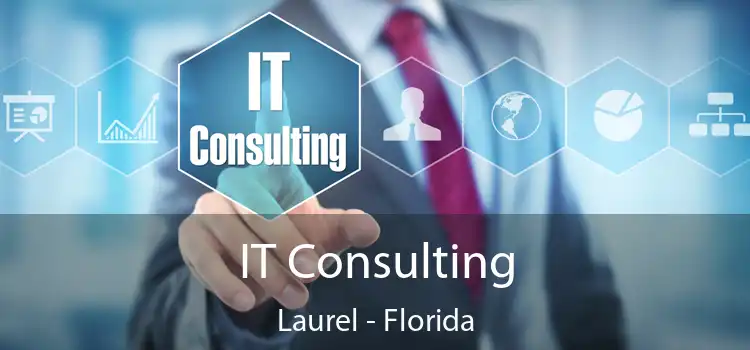 IT Consulting Laurel - Florida