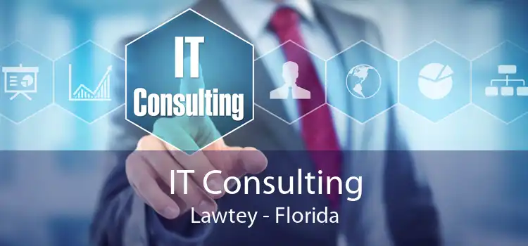 IT Consulting Lawtey - Florida