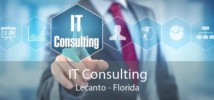 IT Consulting Lecanto - Florida