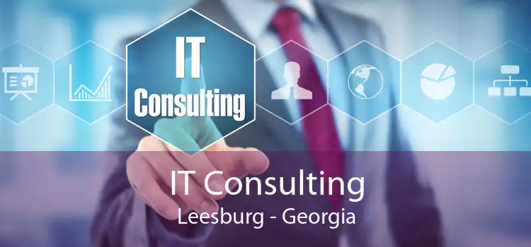IT Consulting Leesburg - Georgia