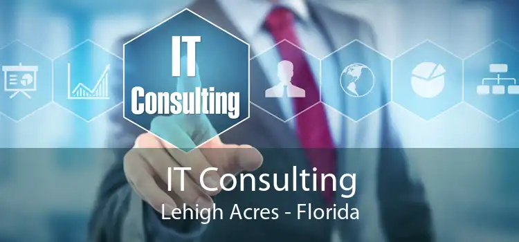 IT Consulting Lehigh Acres - Florida