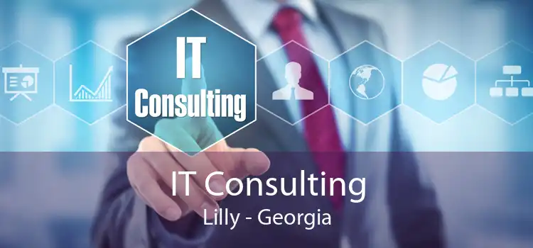 IT Consulting Lilly - Georgia