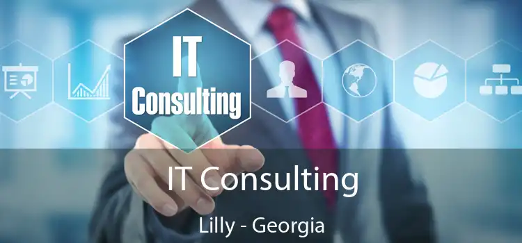 IT Consulting Lilly - Georgia