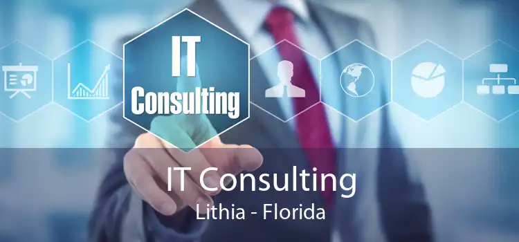 IT Consulting Lithia - Florida