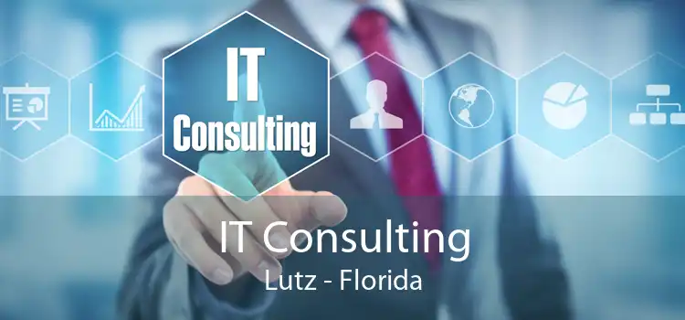 IT Consulting Lutz - Florida
