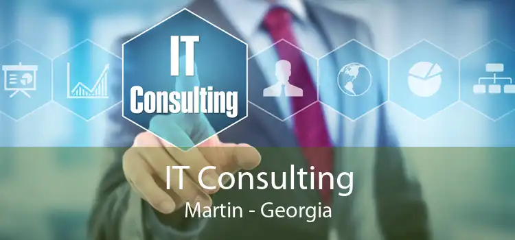 IT Consulting Martin - Georgia