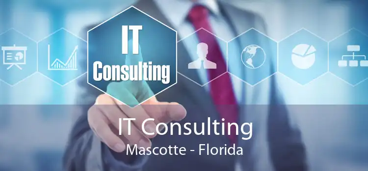 IT Consulting Mascotte - Florida