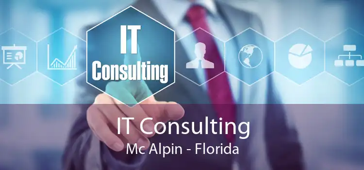 IT Consulting Mc Alpin - Florida