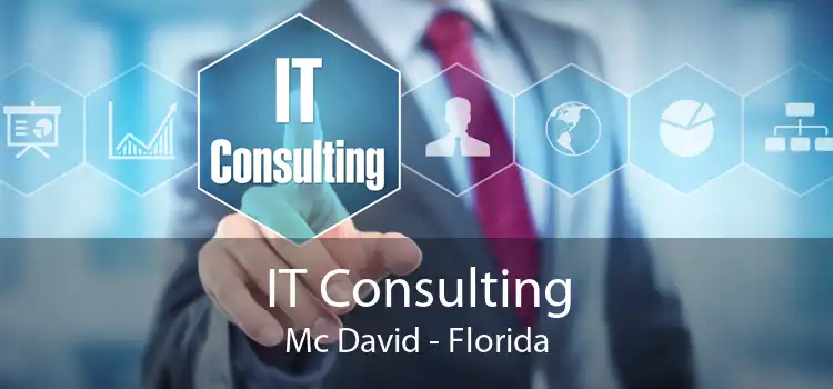 IT Consulting Mc David - Florida