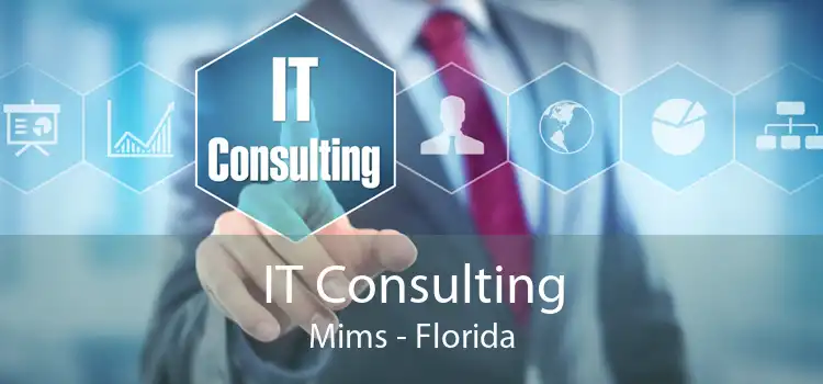 IT Consulting Mims - Florida