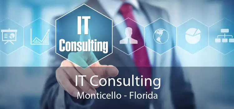 IT Consulting Monticello - Florida